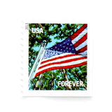 Load image into Gallery viewer, 2013 US Flag for All Seasons First-Class Forever Stamp