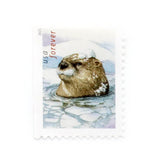 Load image into Gallery viewer, US 2021 Otters in Snow Forever Stamps