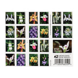 Load image into Gallery viewer, U.S. 2021 Wild Orchids Framed Forever Stamps